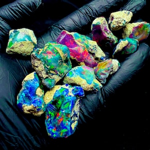Peut inclure: Collection d'opales brutes aux couleurs vives : bleu, vert, rouge et violet. Les opales ont un extérieur rugueux et texturé avec des éclats de couleurs. Les opales sont tenues dans une main gantée de noir.