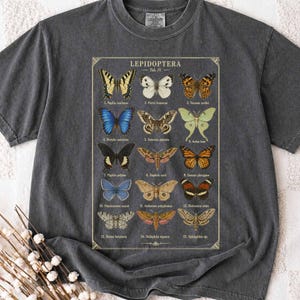 Op de afbeelding: Een antracietgrijs t-shirt met een wetenschappelijke illustratie in vintage-stijl met de titel LEPIDOPTERA Tab. IV. De afbeelding toont vijftien verschillende vlinders en motten in een raster, elk gelabeld met een nummer en wetenschappelijke naam.