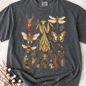 以下が含まれることがあります： チャコールグレーのTシャツで、中央の大きなカマキリをはじめ、クワガタ、トンボ、蝶、マルハナバチ、クモ、ムカデ、甲虫など、さまざまな昆虫やクモ類が詳細なグラフィックプリントで描かれています。
