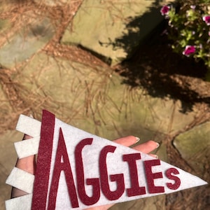 Custom Felt College Flag