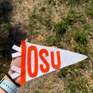 Custom Felt College Flag