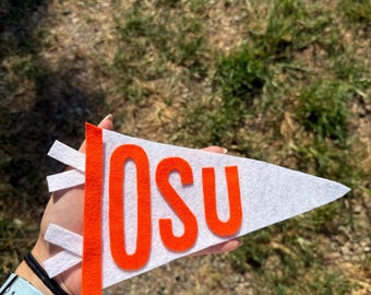 Custom Felt College Flag