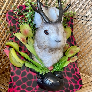 May include: A whimsical wall hanging featuring a rabbit head with faux antlers, surrounded by artificial Venus flytraps and greenery. The rabbit is mounted on a pink and black patterned plaque, creating a unique decorative piece.