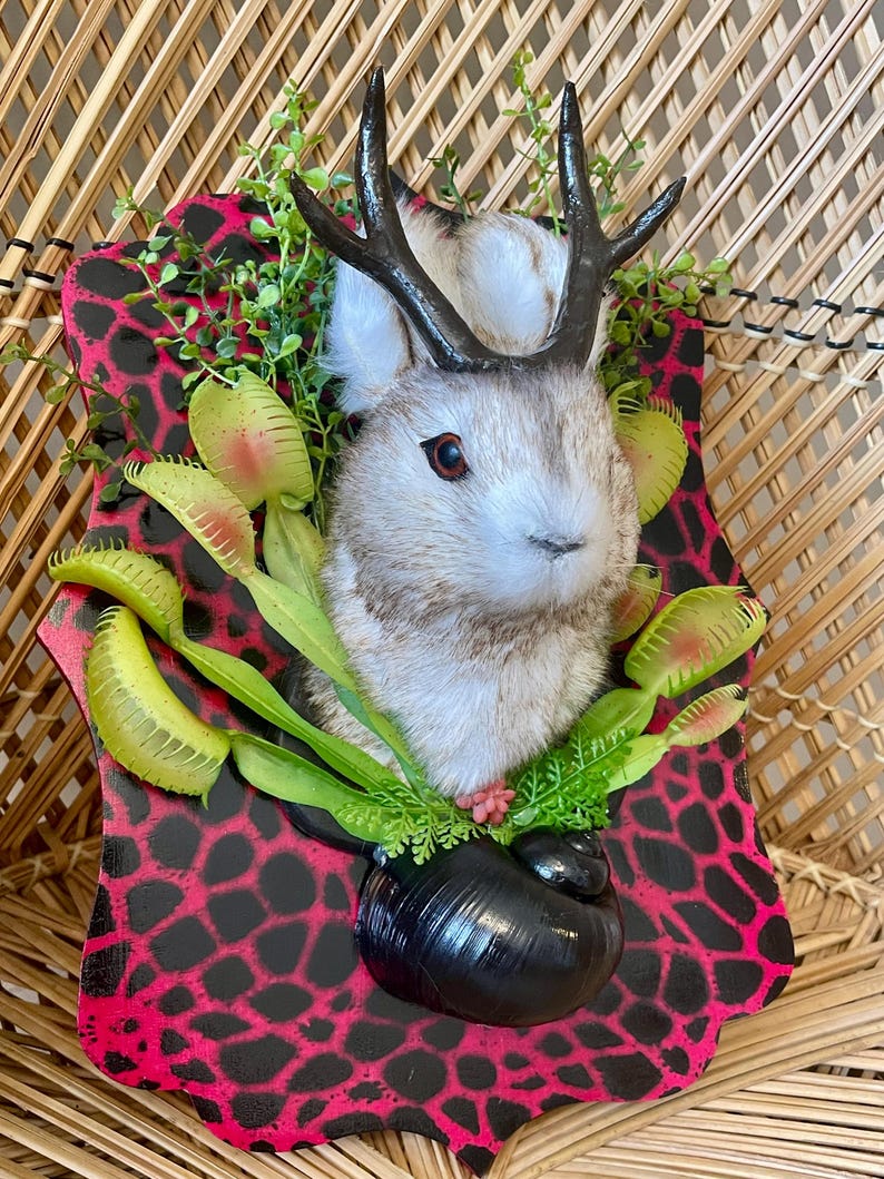 May include: A whimsical wall hanging featuring a rabbit head with faux antlers, surrounded by artificial Venus flytraps and greenery. The rabbit is mounted on a pink and black patterned plaque, creating a unique decorative piece.