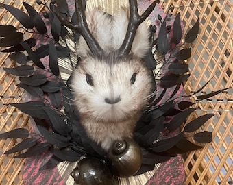 May include: A taxidermy jackalope head featuring brown and white fur, dark antlers, and black eyes. It is mounted on a decorative plaque with a gold sunburst center, dark red edges, and black foliage accents, accompanied by two dark metallic snail shells.