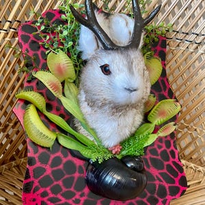 May include: A whimsical wall hanging featuring a rabbit head with faux antlers, surrounded by artificial greenery and Venus flytraps. The rabbit is mounted on a black and pink spotted plaque, creating a unique decorative piece.