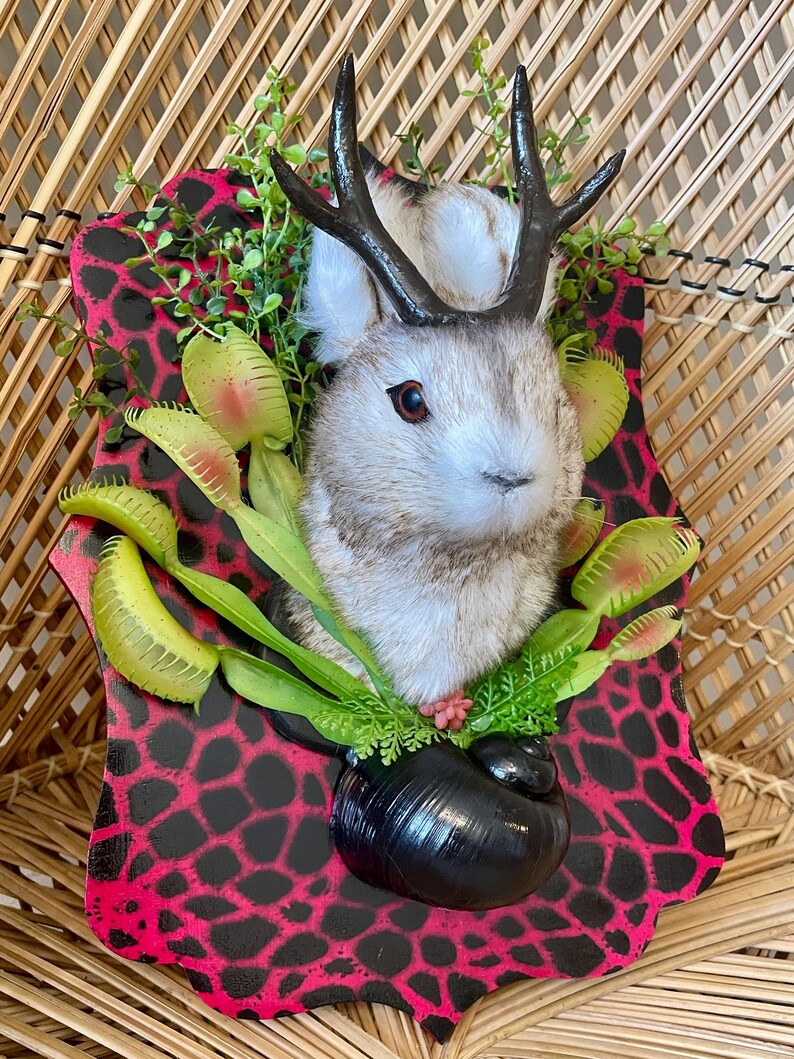 May include: A whimsical wall hanging featuring a rabbit head with faux antlers, surrounded by artificial greenery and Venus flytraps. The rabbit is mounted on a black and pink spotted plaque, creating a unique decorative piece.