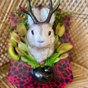 May include: A whimsical sculpture featuring a rabbit with dark antlers, surrounded by green and yellow Venus flytraps. The rabbit is set against a pink and black patterned background, with a black, rounded base.
