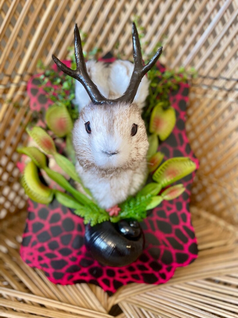 May include: A whimsical sculpture featuring a rabbit with dark antlers, surrounded by green and yellow Venus flytraps. The rabbit is set against a pink and black patterned background, with a black, rounded base.