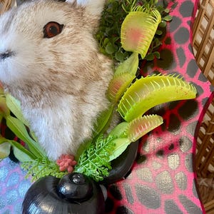 May include: A decorative wall hanging featuring a faux taxidermy deer head with antlers, surrounded by artificial greenery and Venus flytraps. The mounting board has a pink and black spotted pattern, and a black snail shell is attached.