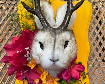 Bayou Jackalope: Sunny Plumeria