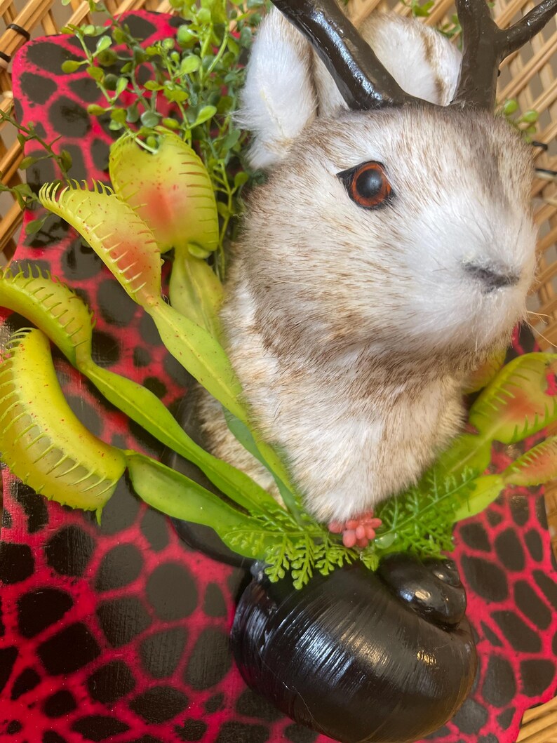 May include: A whimsical decorative piece featuring a rabbit head with faux antlers, surrounded by artificial Venus flytraps and greenery. The rabbit is mounted on a red and black patterned surface, with a black, snail-shaped base.