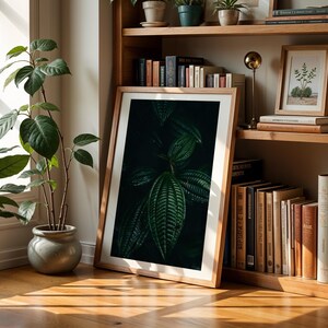 May include: A framed botanical print featuring a close-up of dark green leaves, leaning against a wooden bookshelf. The room is illuminated by natural light, with potted plants and books adding to the decor. The frame is a light brown color.