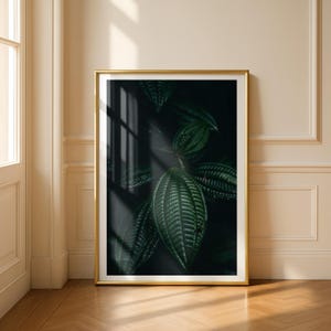 May include: A framed botanical print featuring large, dark green leaves with prominent veining. The leaves are set against a dark background, with light and shadow creating depth. The gold frame adds a touch of elegance to the artwork.