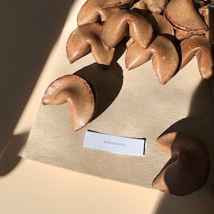 Ceramic Fortune Cookies From The Future, Hand-made Ceramic Gift, Customer, Personalized image 6