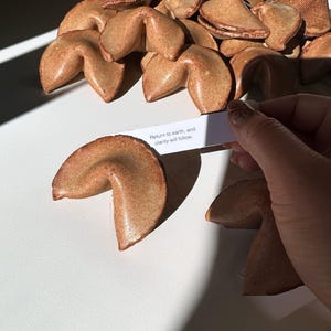 Ceramic Fortune Cookies From The Future, Hand-made Ceramic Gift, Customer, Personalized image 5