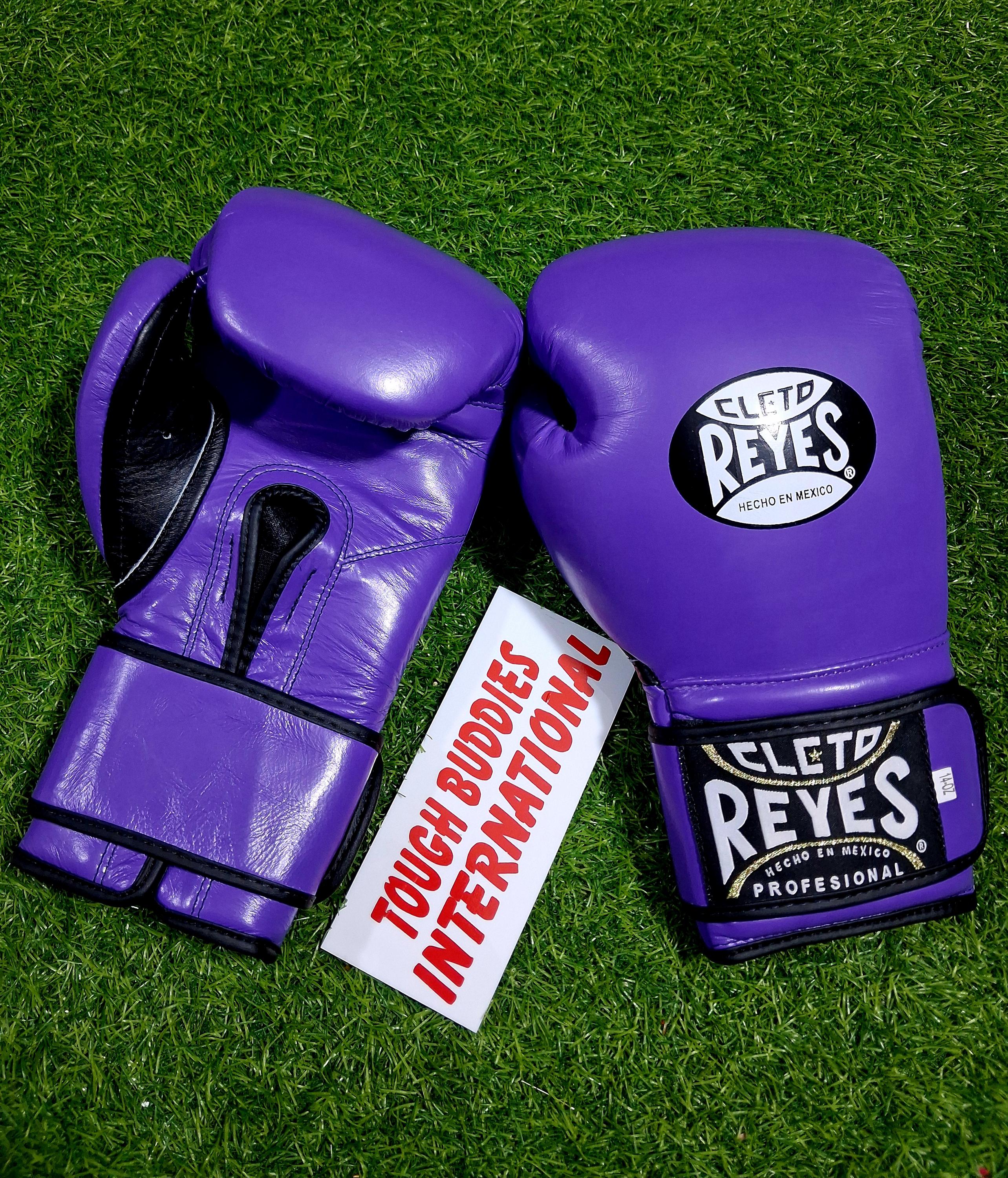 Cleto Reyes Boxing Israel