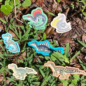May include: A collection of colorful dinosaur stickers, each featuring a different species. The stickers are in various shapes and sizes, with detailed illustrations and the dinosaur's name printed on each. The stickers are set against a backdrop of green grass and brown leaves.