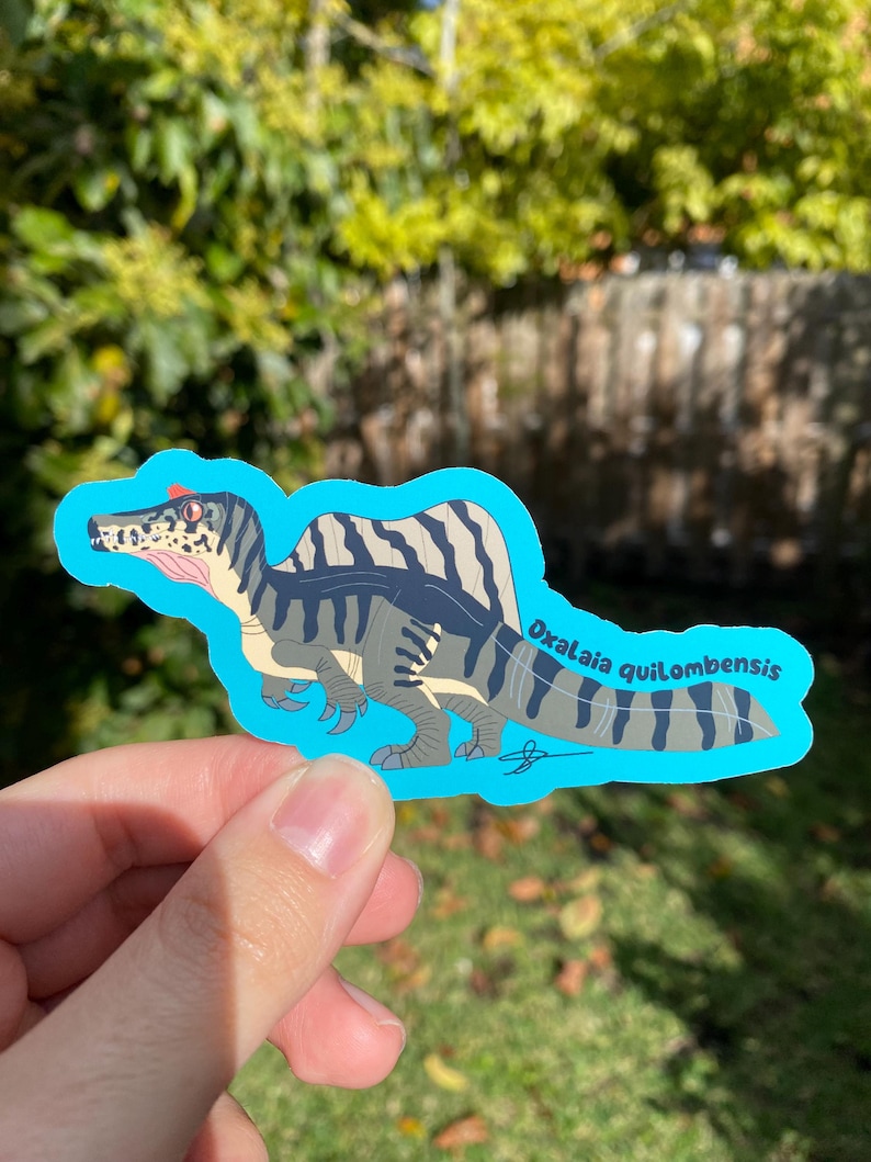 May include: A sticker featuring a Spinosaurus dinosaur illustration with the text "Oxalaia quilombensis". The dinosaur is depicted in shades of gray, tan, and blue, with a red crest. The sticker has a light blue border.