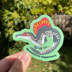 May include: A green sticker featuring a Spinosaurus aegyptiacus dinosaur illustration. The dinosaur has a gray body with white spots, a red and yellow sail, and the text "Spinosaurus aegyptiacus" in green.