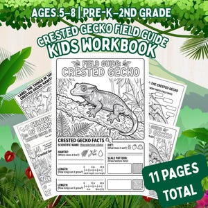 May include: A Crested Gecko field guide kids workbook for ages 5-8, pre-K to 2nd grade. The 11-page total includes black and white activity sheets with a gecko illustration, habitat labeling, body parts, and facts with imperial measurement rulers.