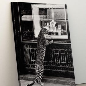 May include: Monochrome print of a leopard standing upright, looking into a jewellery shop window. The leopard's spotted coat is set against the display of necklaces, rings, and other jewellery.