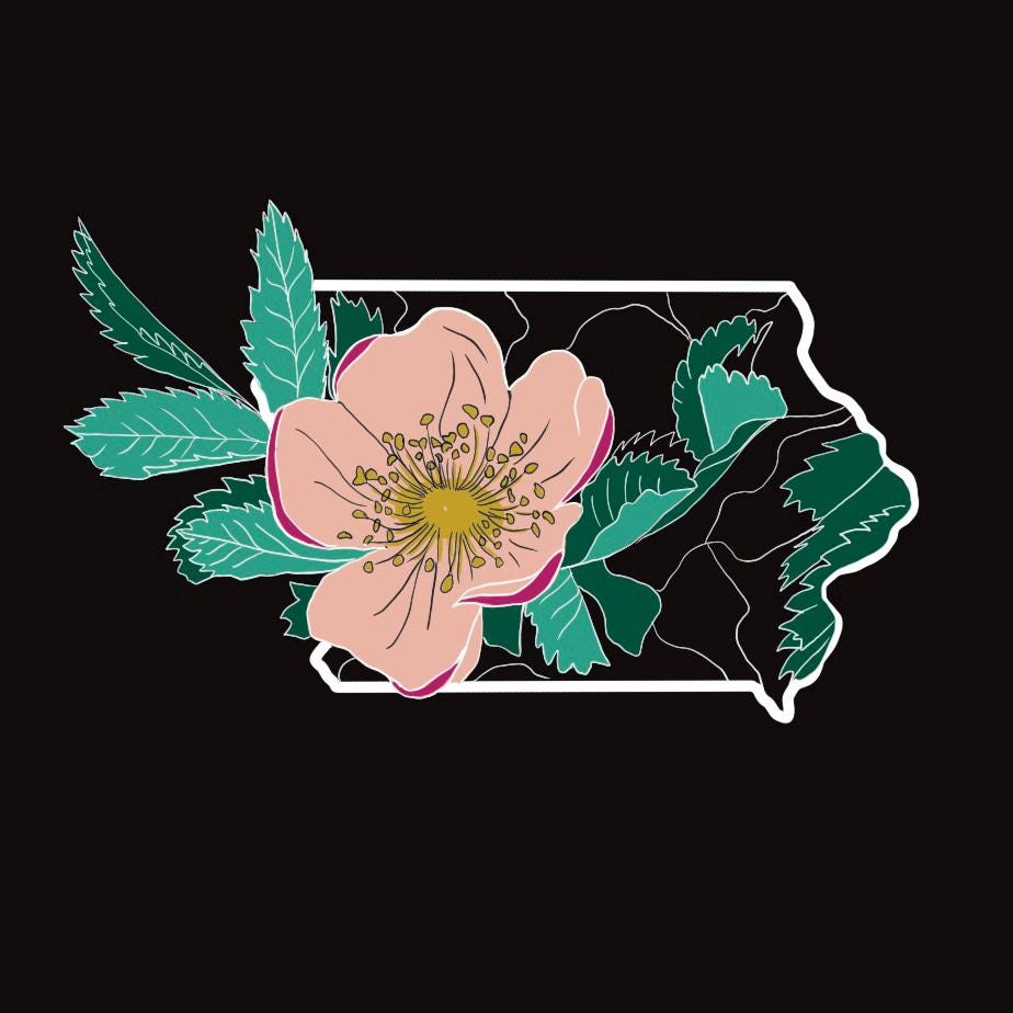 Iowa State Flower Print, Hand-drawn Wild Prairie Rose Art, Iowa Wall ...