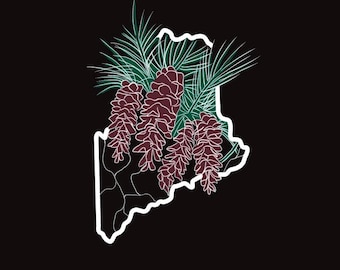 Maine State Flower Print: Hand-Drawn White Pine Cone Art
