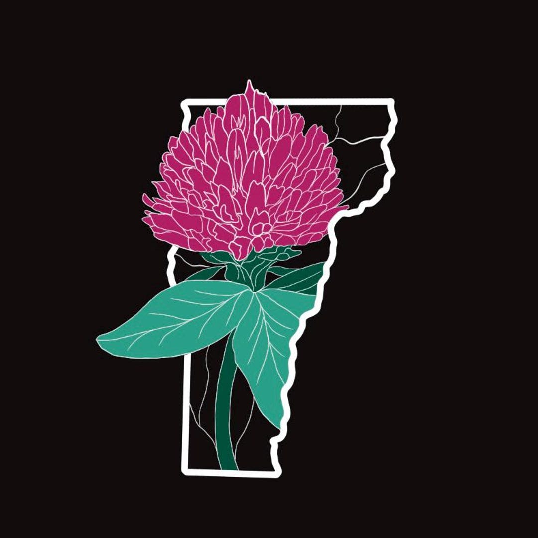 Vermont State Flower Print: Hand-drawn Red Clover Botanical Art - Etsy