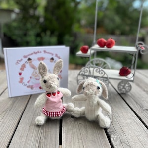 May include: Two knitted bunny figurines. One bunny stands wearing a pink dress with strawberry accents and a red and white checkered hem. The other bunny sits, featuring a small blue hair accessory. A book titled The Remarkable Bunny Bakery is behind.