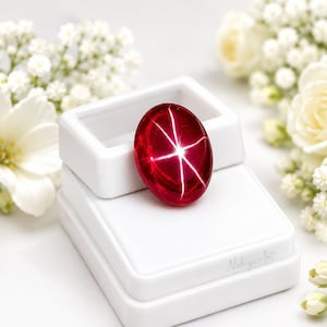 Rubis étoilé d'une valeur inestimable, véritable rubis rouge étoilé, pierre brute de 21 carats, taille ovale cabochon, certifié rubis étoilé. Meilleure offre.