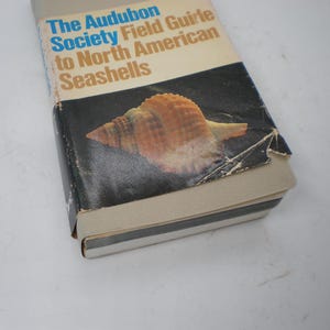 May include: A vintage field guide titled "The Audubon Society Field Guide to North American Seashells." The book features a seashell illustration on the cover, with text in blue and tan. The book has a black background and a beige spine.