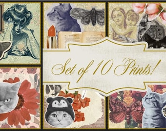 Vintage Cat Art Print Set – Retro Feline Illustrations (10 Square Downloads)