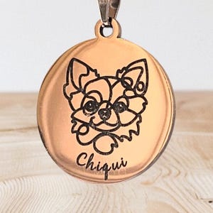 Pendant, Dog or Cat Necklace, Custom Personalized