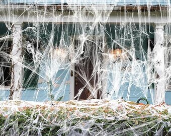 Decorative, Land Guard 200 sqft Spider Web, Bonus with 10 Artificial Spiders