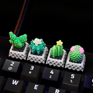 May include: Four custom keyboard keycaps featuring miniature cactus designs. Each cactus is a different shade of green, with white, yellow, and pink flower accents. The keycaps sit atop a black keyboard, with the keys labeled with white letters and numbers.