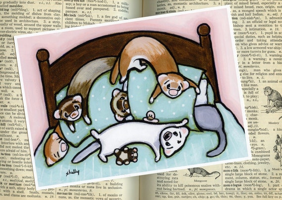 Playing on the Bed Ferret Art Print From Original Painting by Shelly Mundel Etsy Canada