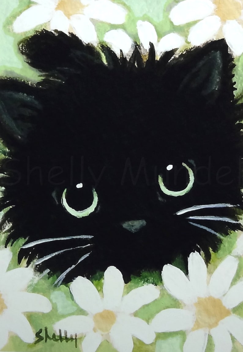 Black Cat Daisies Cat Art Print by Shelly Mundel Etsy