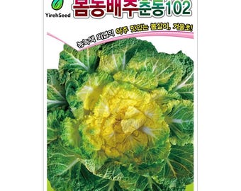 May include: A close-up image of a hybrid kimchi cabbage, Chundong 102 Fi. The cabbage has green outer leaves and a yellow center. The text on the image includes "YirehSeed" and Korean characters. The text also says "Hybrid Kimchi Cabbage, Chundong 102 Fi."