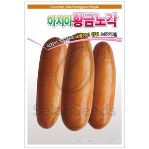 Cucumber Seeds - Korean Cucumber Seeds, Non-Gmo, Heirloom Seeds, 오이, 노각