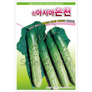 Cucumber Seeds - Korean Cucumber Seeds, Non-GMO, Heirloom Seeds, 오이, 은천