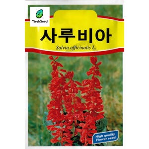 Scarlet Sage Seeds - Salvia Seeds, Heirloom, Non-GMO, Medicinal Plant Seeds, 사루비아