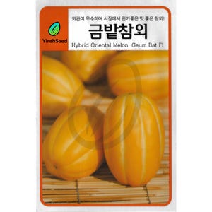 May include: Seed packet featuring several golden-yellow hybrid oriental melons with vertical white stripes. The text on the packet reads "Hybrid Oriental Melon, Geum Bat Fl" and "YirehSeed". The melons are displayed on a bamboo mat.