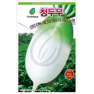 Korean Radish Seeds: Fall Kimchi Radish, Non-GMO, 청두무