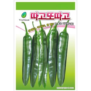 May include: A seed packet featuring several green peppers. The peppers are long and slender, with a vibrant green color. The packet has text in Korean, including the brand name "YirehSeed" and a description of the peppers.