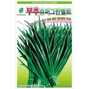Chinese Garlic Chive Seeds - Chinese Leek Seeds, Non-GMO, 한국 부추 씨앗