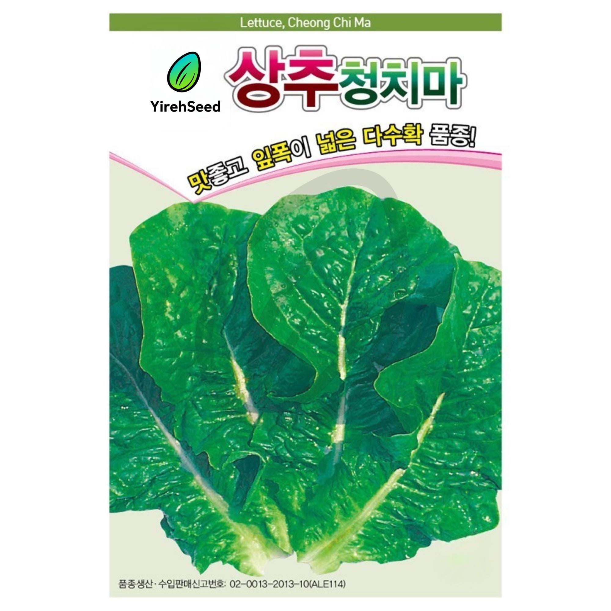 Korean Green Leaf Lettuce Seeds: Cheong-sang-chu, Non-gmo, 청상추 - Etsy