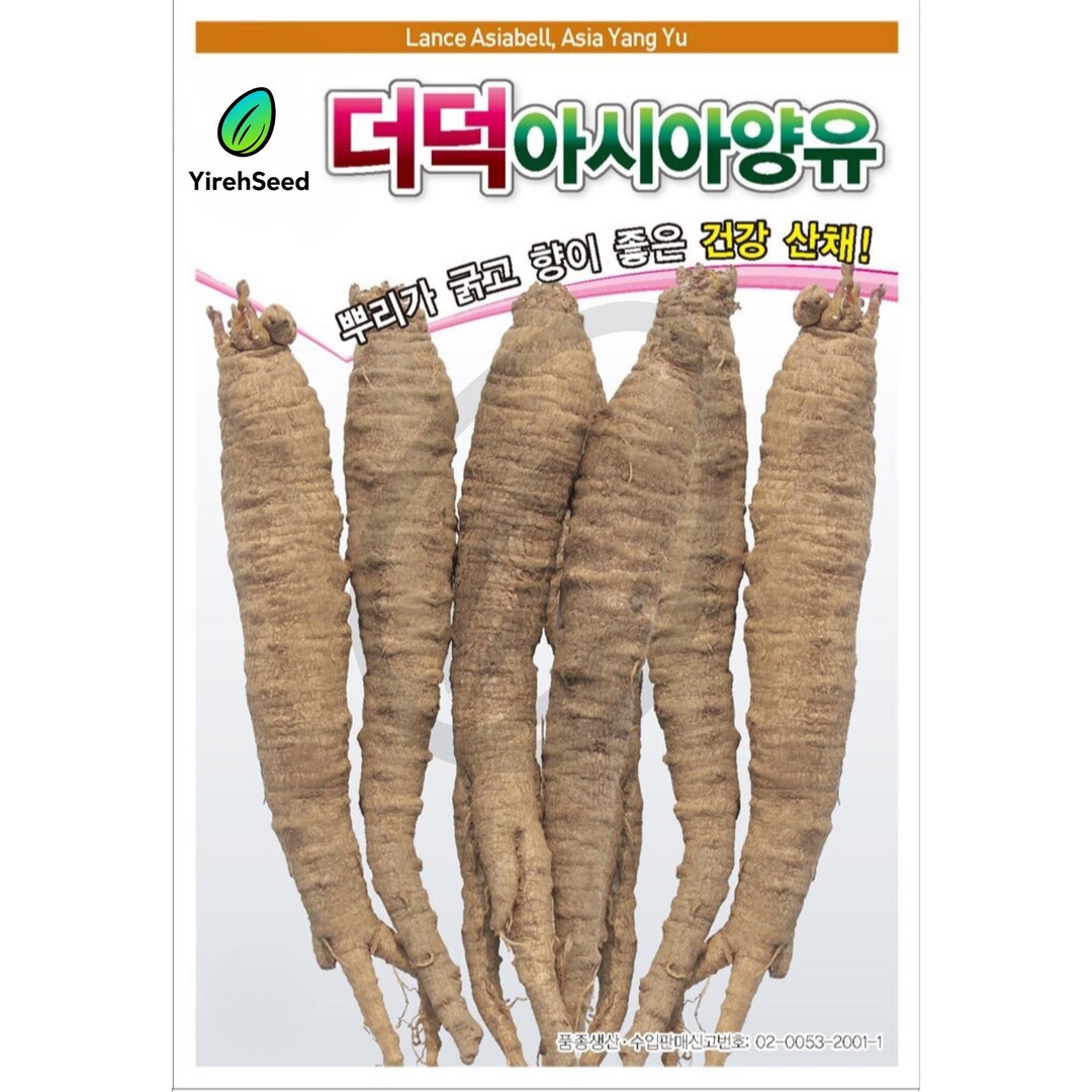 Bonet Root Korean Bonnet Bellflower Seeds: Edible Medicinal Root, Non-gmo, Rare ...