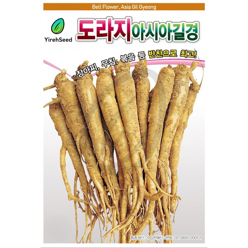 Korean Bellflower Seeds - Doraji, Balloon Flower Seeds, Non-gmo, 도라지 - Etsy