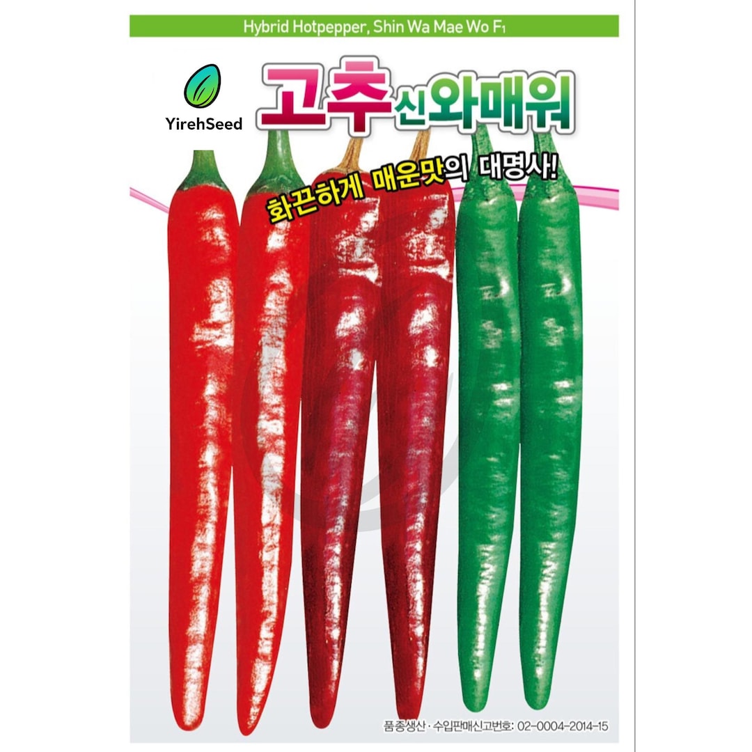 Korean Chili Pepper Seeds: Cheongyang Pepper, Non-gmo, 청양고추 - Etsy